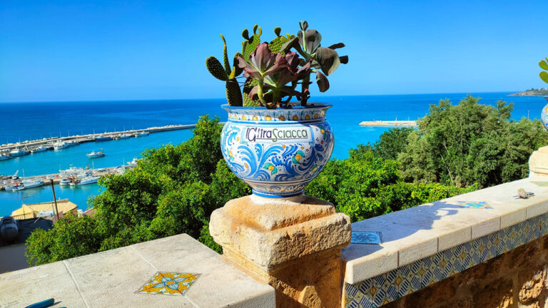 Vaso Campidoglio offerto da L'altraSciacca 1