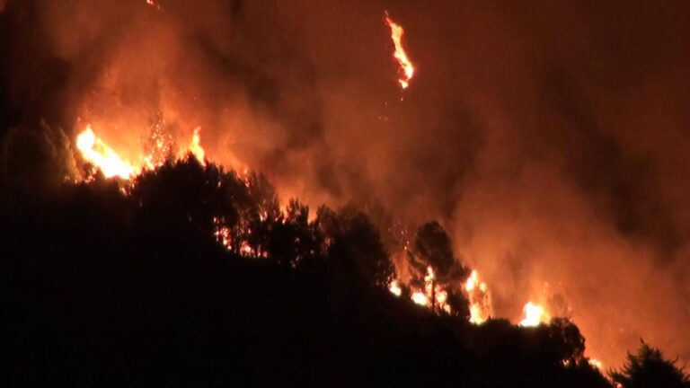 incendi notte sicilia