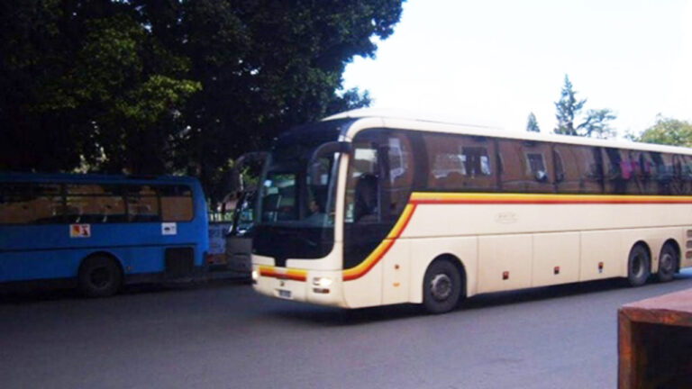 Autobus Gallo