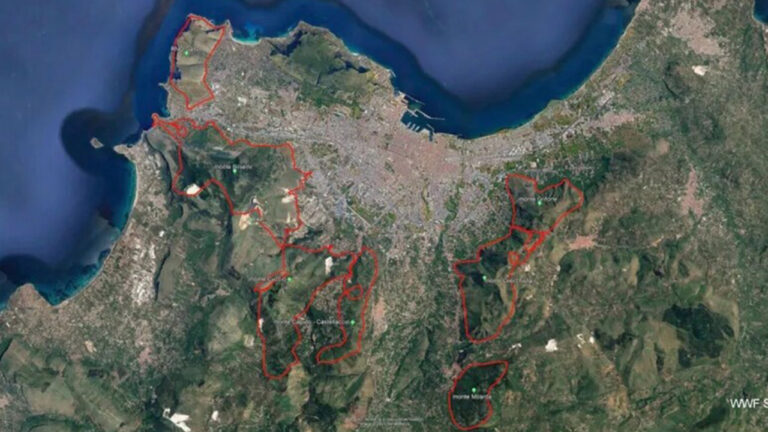 Incendi Palermo