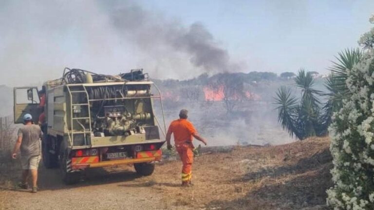 incendio forestale