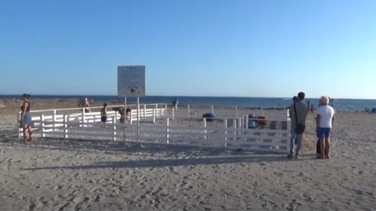 spiaggia cani mazara
