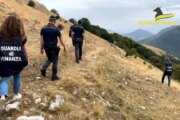 Maxi truffa all’Ue per “pascoli fantasma”, arresti e sequestri