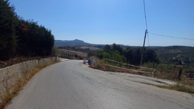 raganella strada pericolo 2023