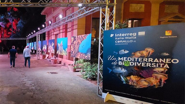 tirnetta mostra palermo biodiversità 2023