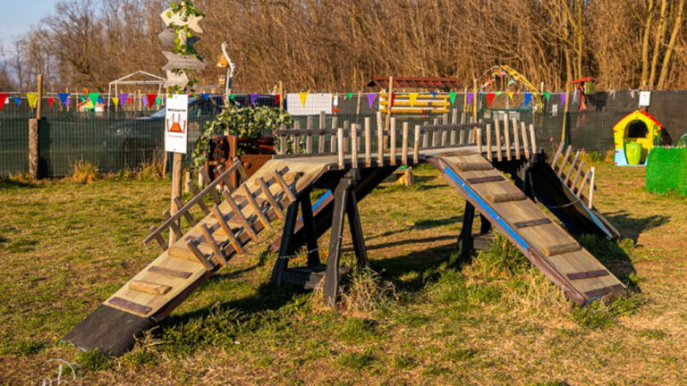 Parco giochi per cani