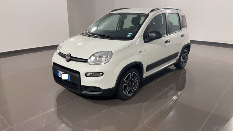 panda ibrida
