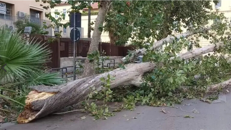 Palermo sferzata dal maltempo
