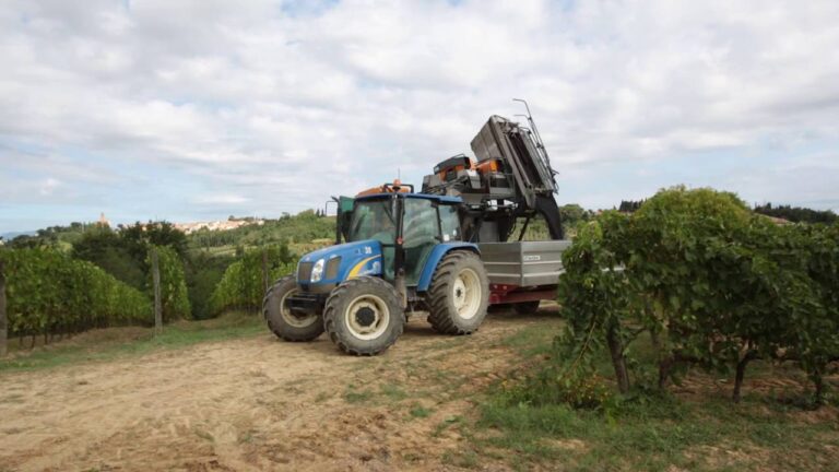 campagna trattore