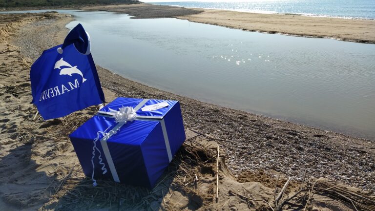 Pulizia 22 dicembre mareamico foggia 2023