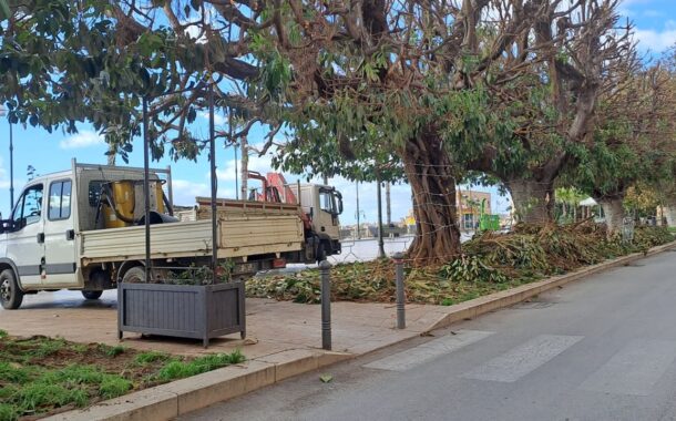 Finalmente la potatura degli alberi nelle piazze Rossi e Scandaliato. Ora si attende l'albero di Natale