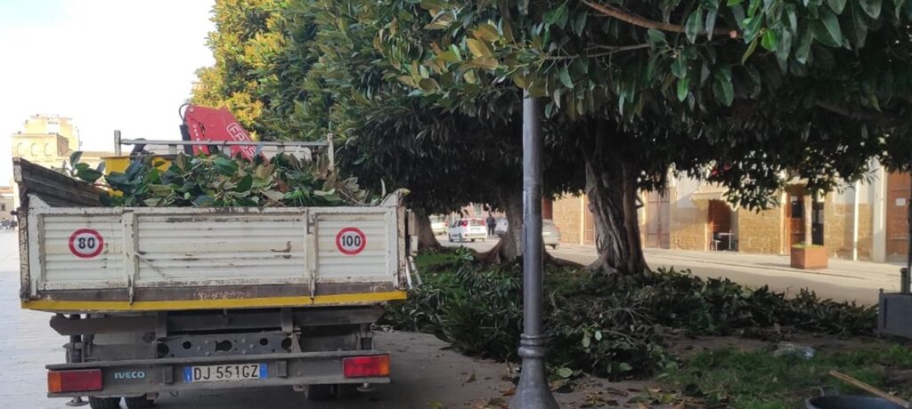 Verde pubblico, finalmente cominciata la potatura in piazza Scandaliato