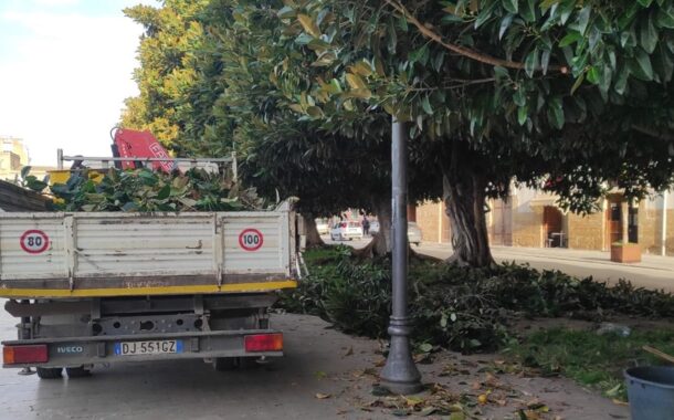 Verde pubblico, finalmente cominciata la potatura in piazza Scandaliato