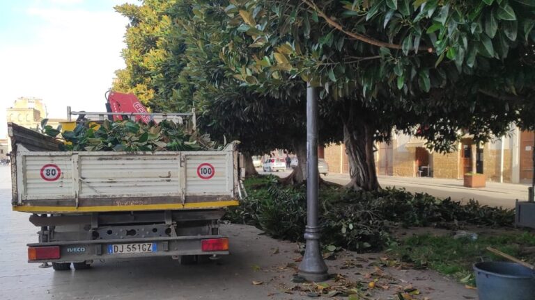 potatura piazza scadaliato 2023