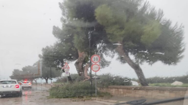 maltempo terme 2024