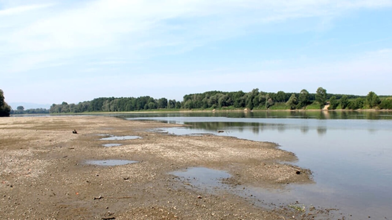 Crisi idrica, agricoltura in ginocchio. Il sindaco Ruvolo propone mozione di indirizzo per il Consiglio Comunale di Ribera e degli altri Comuni del territorio