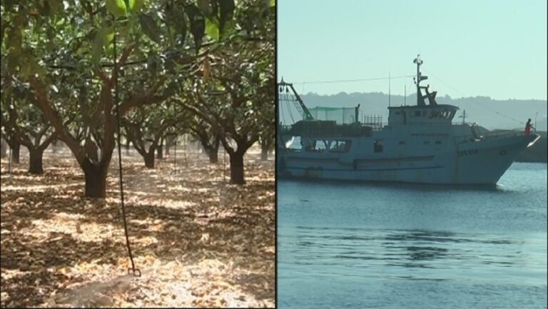 Pescatori e agricoltori