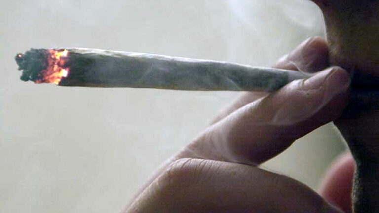 spinello-cannabis-2
