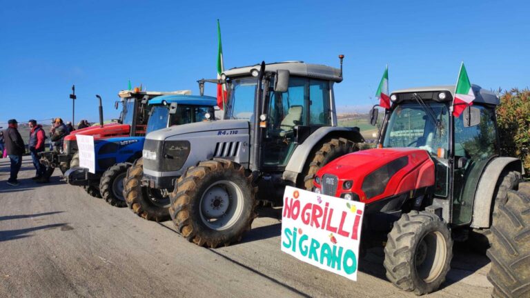 trattori protesta menfi 2024