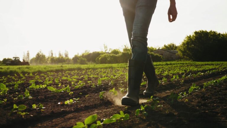 agricoltura generica