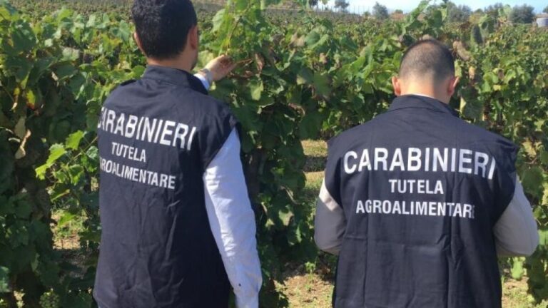 carabinieri-tutela-agroalimentare-1280x720