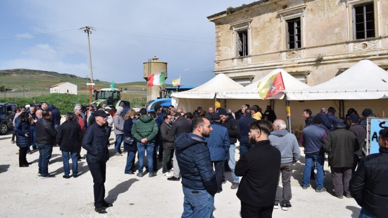 gulfa protesta 2024