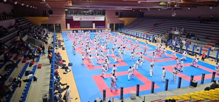 ippon lentini simposium 2024