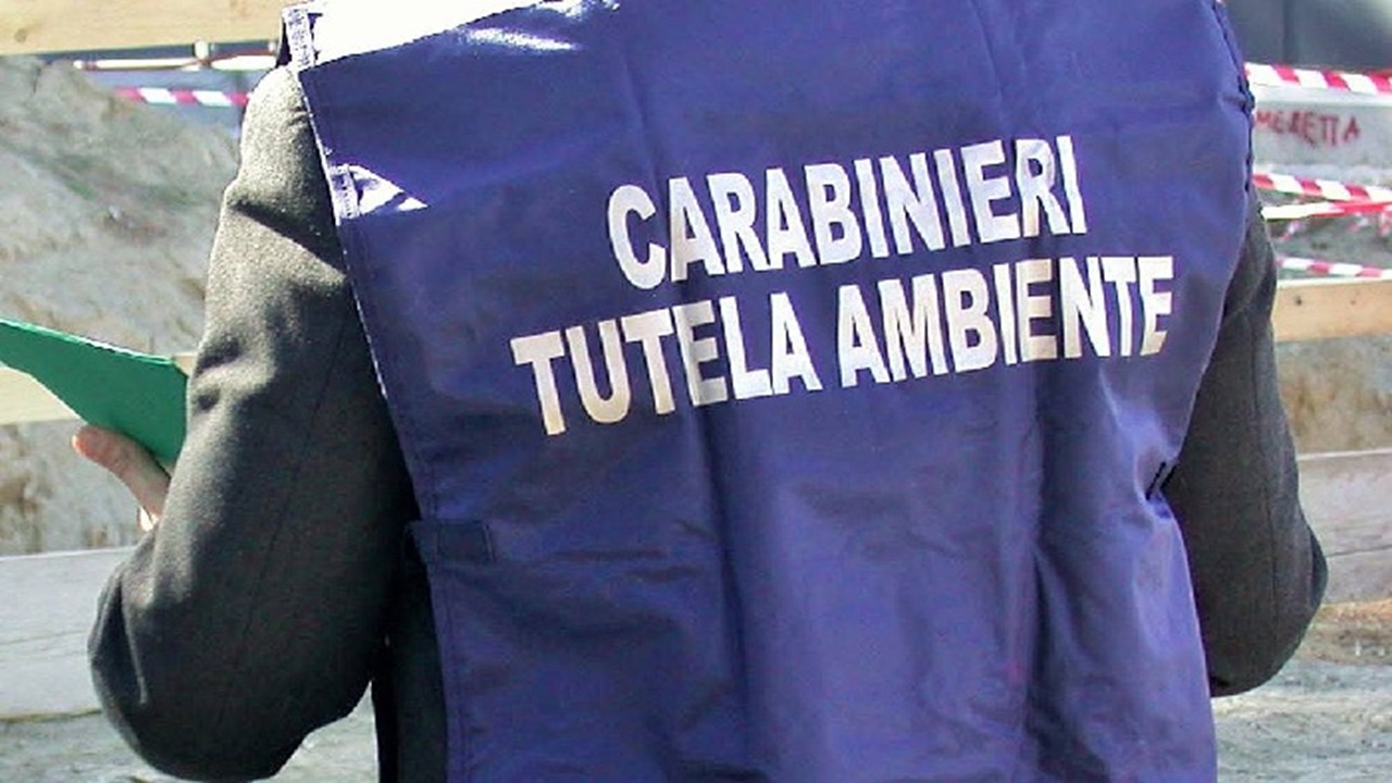 Attività di un'autocarrozzeria sospesa dai carabinieri per reati ambientali