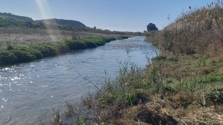 fiume verdura