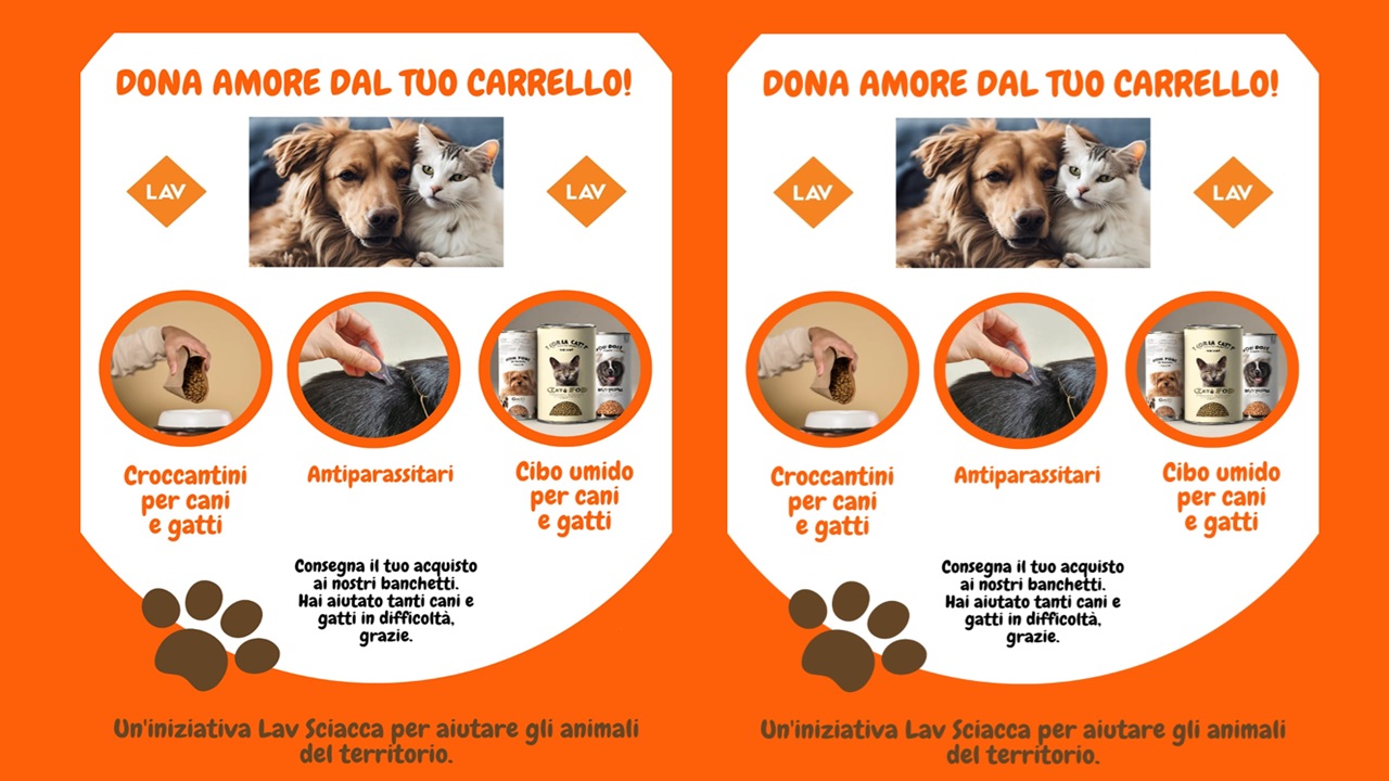 Aiutiamo i cani in difficoltà: domani a Sciacca iniziativa della Lav