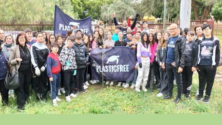 menfi plastic free 2024 home