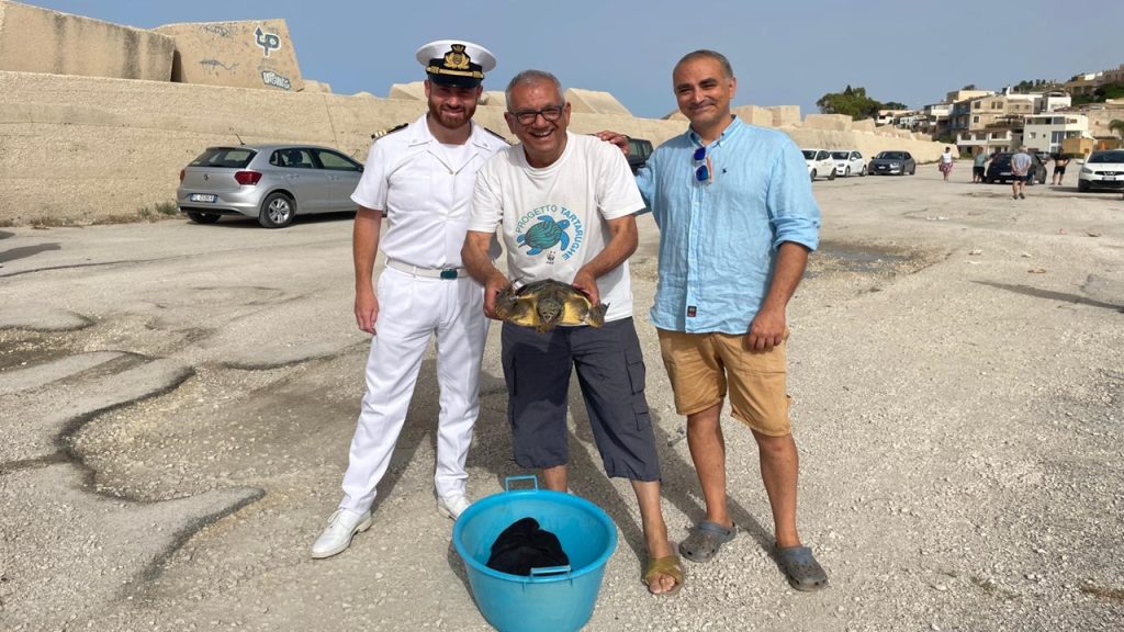 tartaruga menfi recuperfata 2024