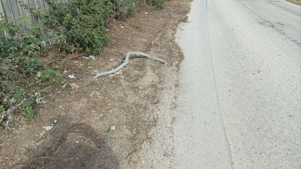 via san marco sporca dopo scerbatura 2024