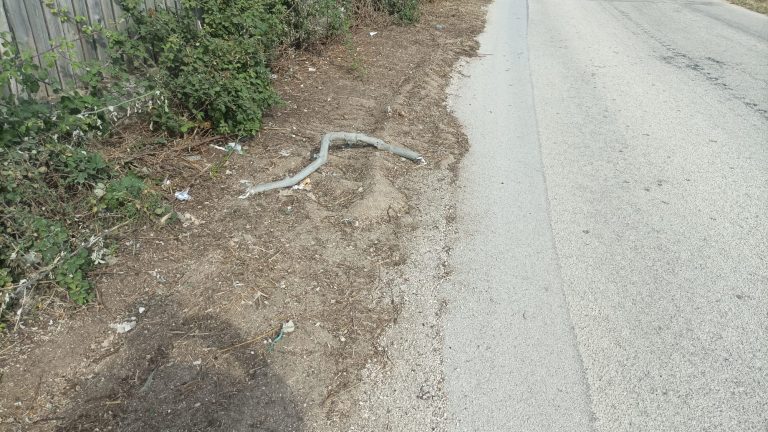 via san marco sporca dopo scerbatura 2024
