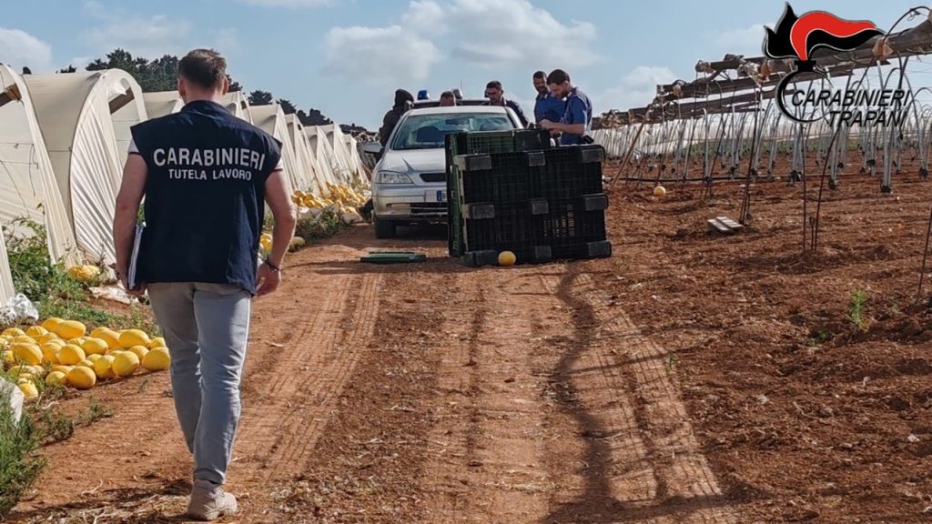 Carabinieri-nil-campagne