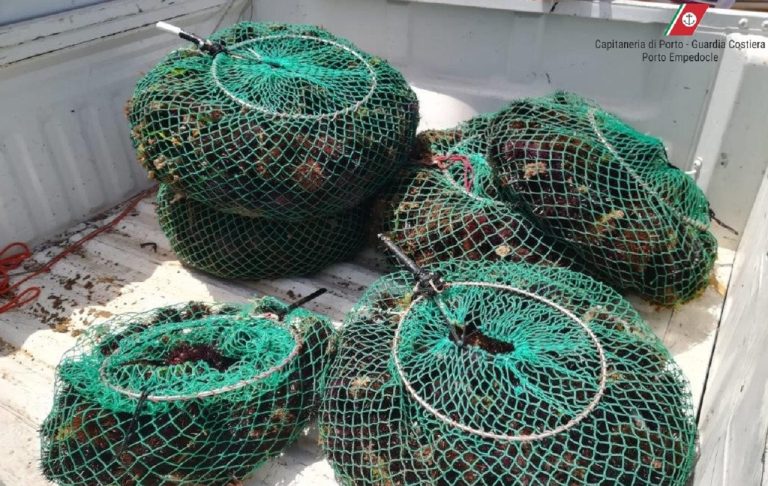 Sequestro ricci Cap Porto Empedocle