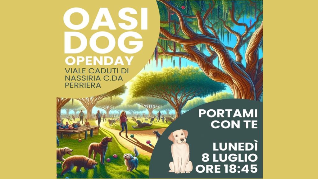 area cani perriera 2024