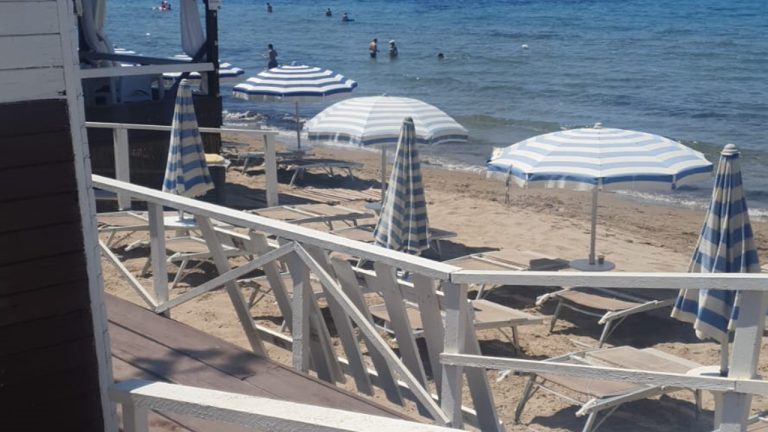 san marco no alghe 2024
