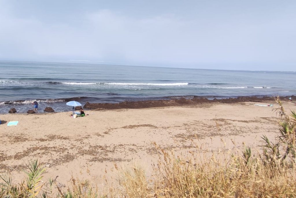 spiaggia san marco posidonia 2024