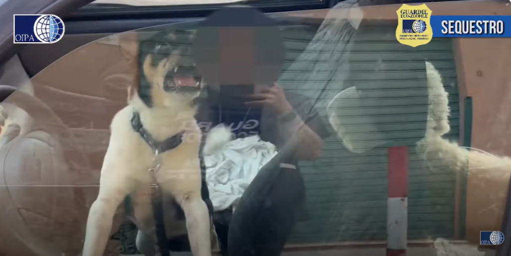 Screenshot 2024-08-27 174641