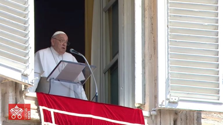 papa francesco 2024
