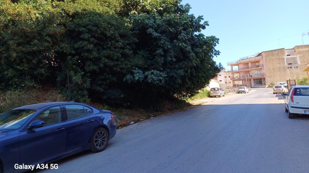 via modigliani albero 2024