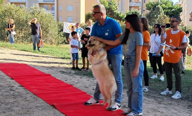 oasi dog 6
