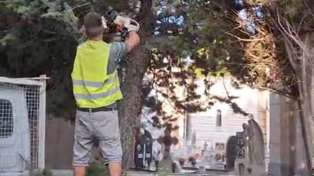 potatura cimitero 2024