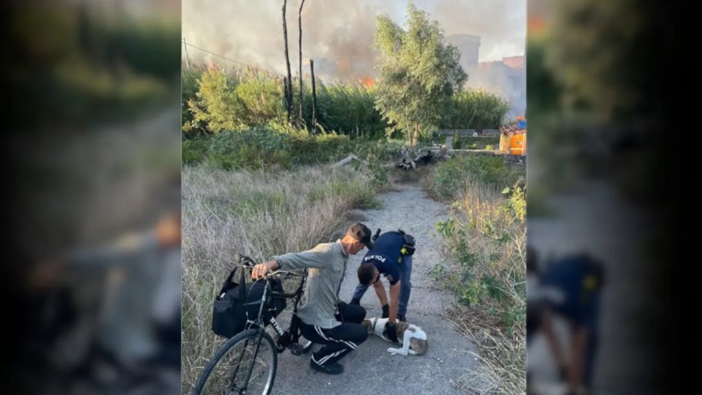 clochard catania 2024