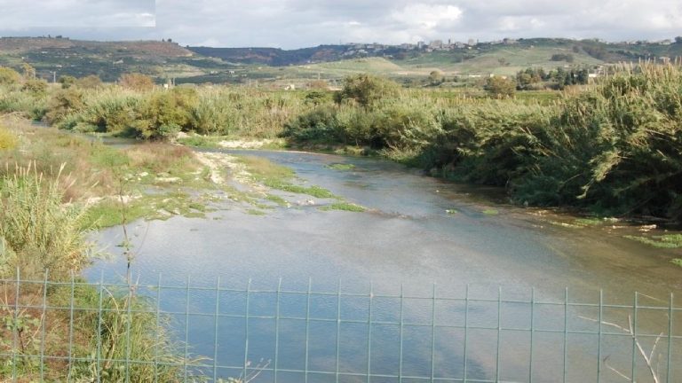 fiume-verdura