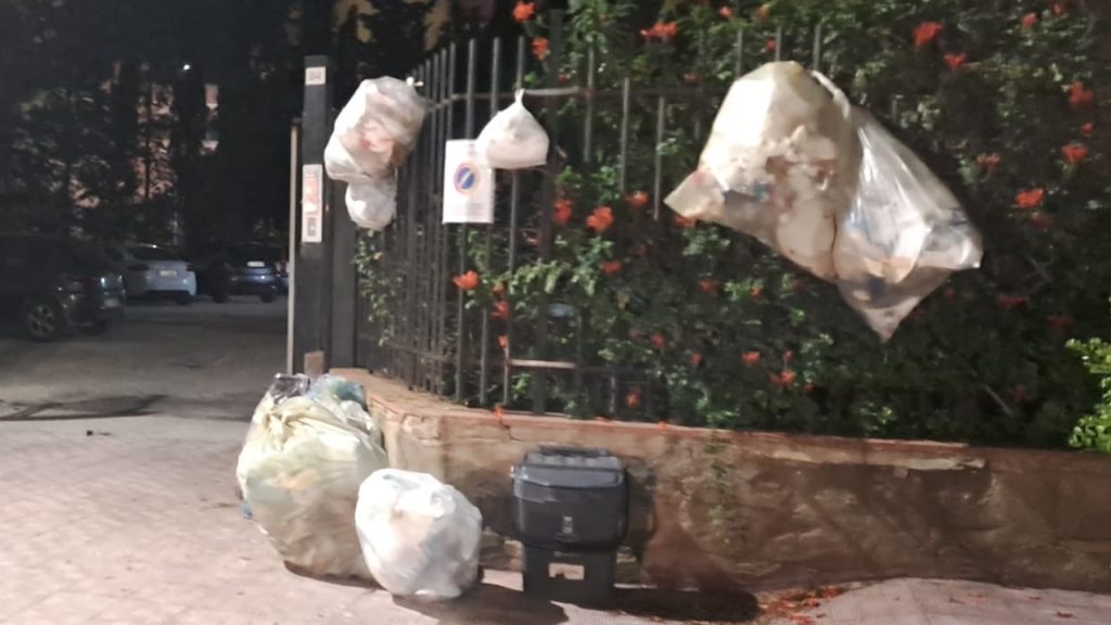 sacchetti rifiuti 2024 home