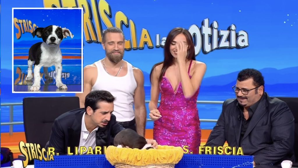 striscia cane oasi 2024