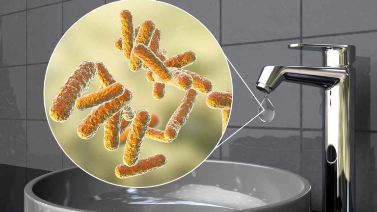 acqua_salmonella