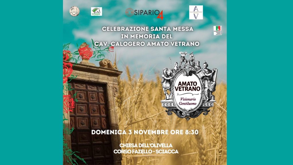 olivella amato vetrano 2024